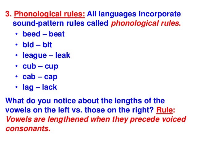 A role of phonological rules in language phonological rules and their structure